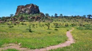 Het klimaat van Mapungubwe National Park, Zuid-Afrika