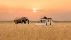 Het klimaat van Masai Mara National Reserve, Kenia