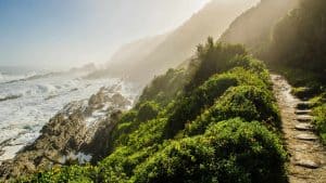 Het klimaat van Nationaal park Tuinroete, Zuid-Afrika