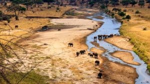 Het weer in Tarangire National Park, Tanzania in maart 2025