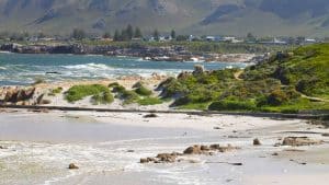 Het weer in Hermanus, Zuid-Afrika in februari 2026