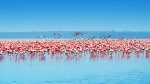 Het weer in Nakuru, Kenia in juli 2017