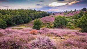 Het weer in Gelderland, Nederland in april 2025